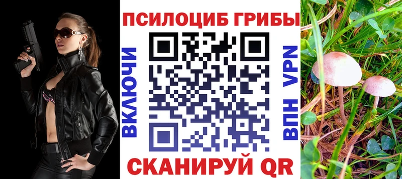 omg маркетплейс  Котово  Псилоцибиновые грибы GOLDEN TEACHER 