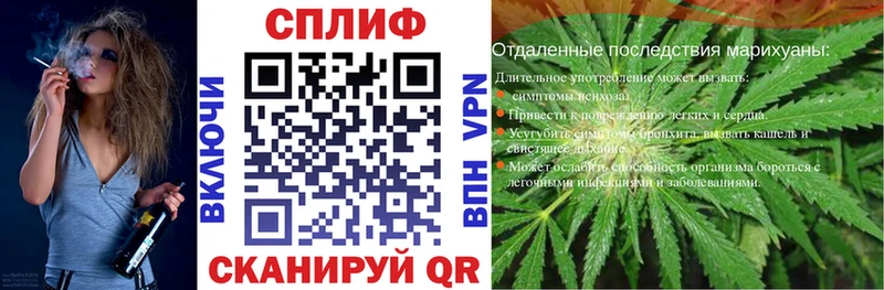 Каннабис ГИДРОПОН Котово